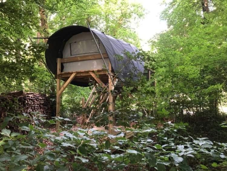 Camping Le Canada-Insolite 시니 외부 사진